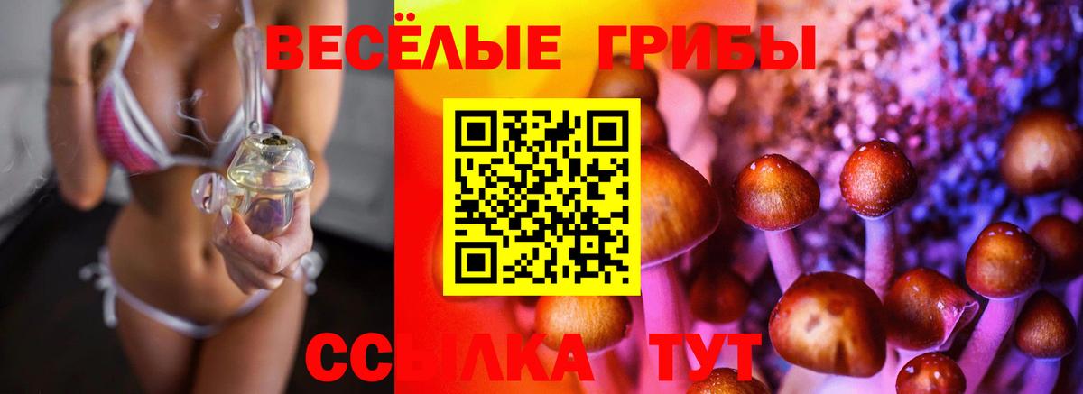 Сочи  Псилоцибиновые грибы Psilocybine cubensis  Вход с VPN 